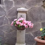 Il Giardino Degli Iris לינה וארוחת בוקר אלגהרו