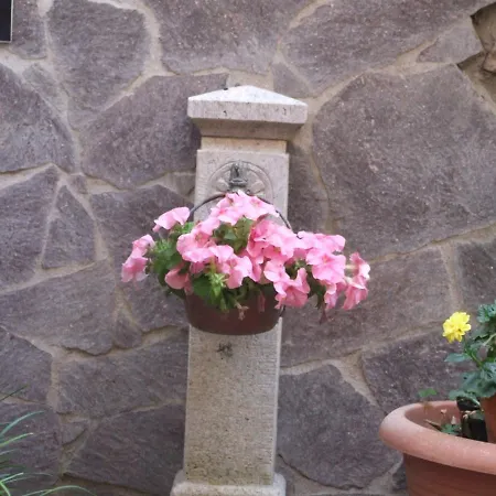 Il Giardino Degli Iris فندق مبيت وإفطار ألغيرو