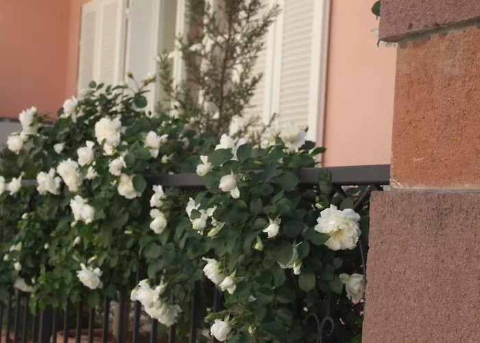 Il Giardino Degli Iris Frühstückspension Alghero